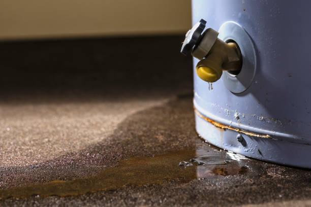 Best Residential water damage restoration  in Harrisonville, MO