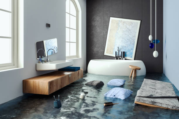 Best 24/7 water damage repair  in Harrisonville, MO