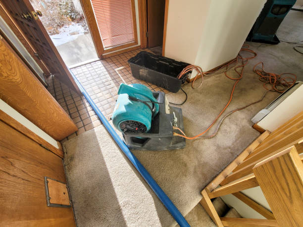 Best Water damage cleanup near me  in Harrisonville, MO