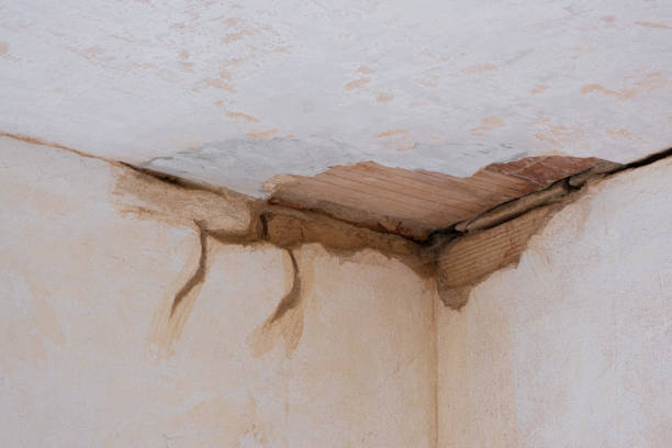 Best Water damage restoration near me  in Harrisonville, MO