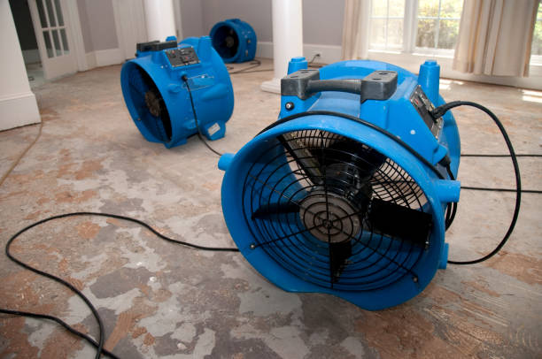 Best Flooded house restoration  in Harrisonville, MO