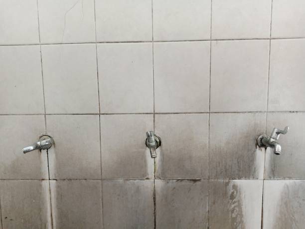 Best Water damage restoration process  in Harrisonville, MO
