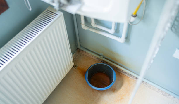 Best Flood damage cleanup  in Harrisonville, MO