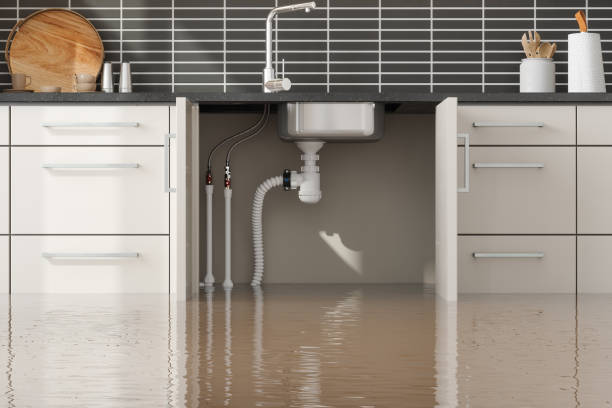 Best Water damage restoration services  in Harrisonville, MO