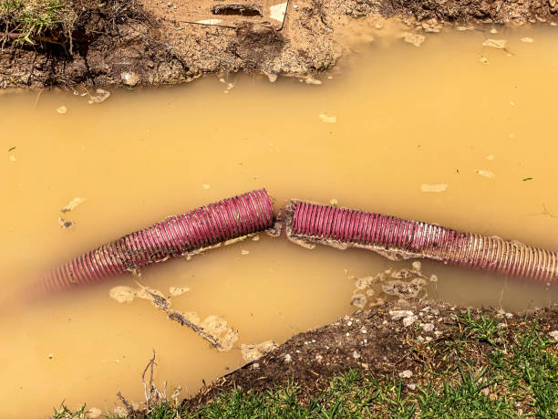 Local water damage restoration in Harrisonville, MO